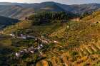 Terraced vineyards in the Douro Valley of Portugal Art Print